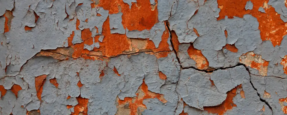 Paint Peeling from Walls Paint Peeling from Walls
