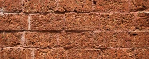 Laterite bricks