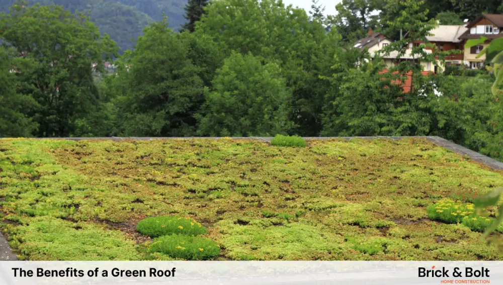 The Benefits of a Green Roof