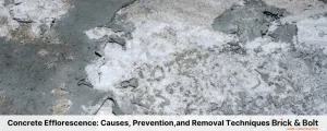 Concrete Efflorescence: Causes, Prevention, and Removal Techniques