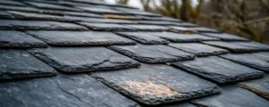 Asphalt Shingles for Roofing