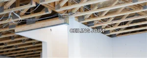 Ceiling Joist