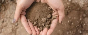 uses of silt soil in construction